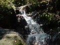 Tn dsc 0796